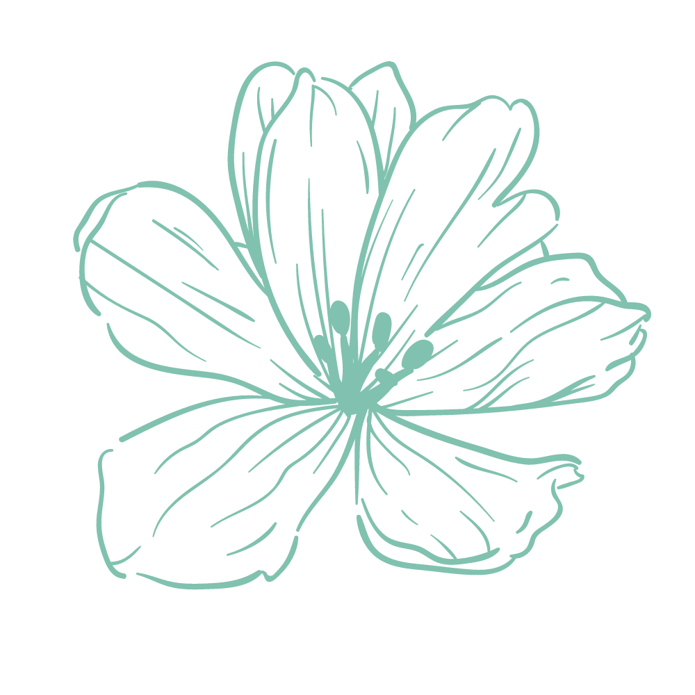 Outline of a green tropical flower