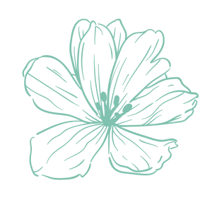 Signature Skin Care by Shana